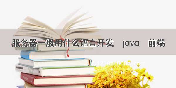 服务器一般用什么语言开发 – java – 前端