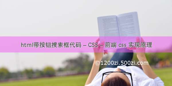 html带按钮搜索框代码 – CSS – 前端 css 实现原理