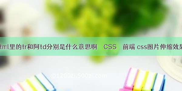 html里的tr和阿td分别是什么意思啊 – CSS – 前端 css图片伸缩效果