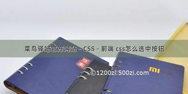 菜鸟驿站官方网站 – CSS – 前端 css怎么选中按钮