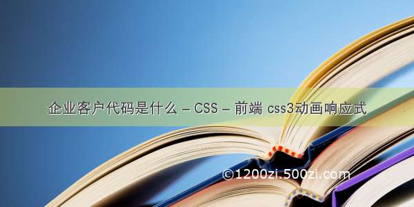 企业客户代码是什么 – CSS – 前端 css3动画响应式