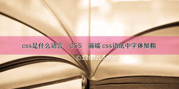 css是什么语言 – CSS – 前端 css语法中字体加粗