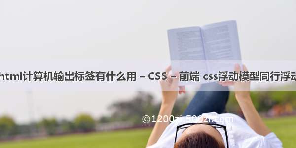 html计算机输出标签有什么用 – CSS – 前端 css浮动模型同行浮动