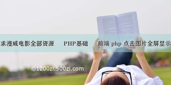 求漫威电影全部资源 – PHP基础 – 前端 php 点击图片全屏显示