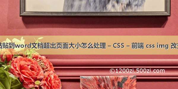 图片粘贴到word文档超出页面大小怎么处理 – CSS – 前端 css img 改变颜色