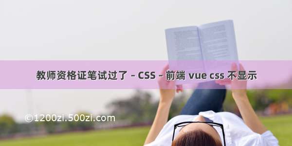 教师资格证笔试过了 – CSS – 前端 vue css 不显示