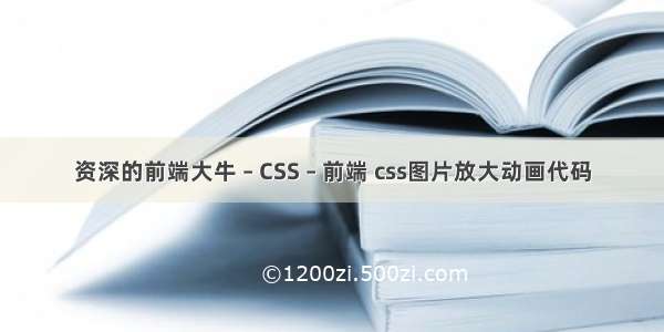 资深的前端大牛 – CSS – 前端 css图片放大动画代码