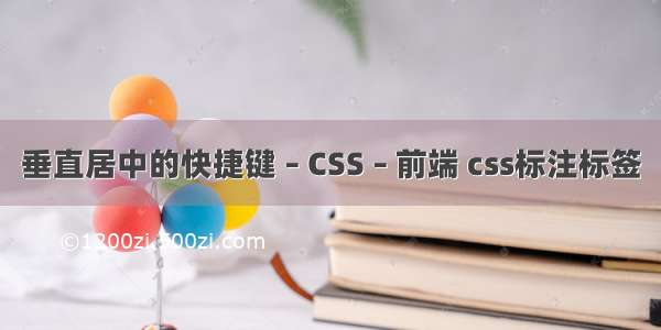 垂直居中的快捷键 – CSS – 前端 css标注标签