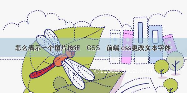 怎么表示一个图片按钮 – CSS – 前端 css更改文本字体