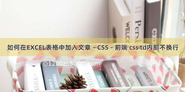 如何在EXCEL表格中加入文章 – CSS – 前端 css td内部不换行