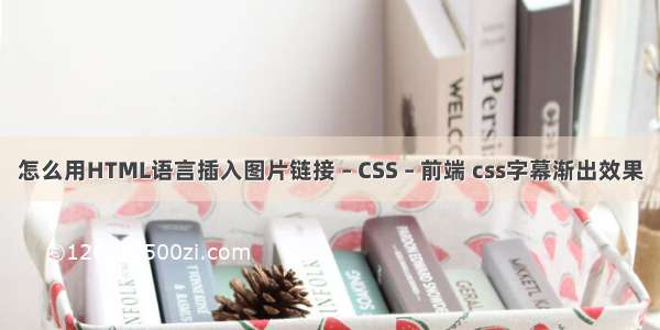 怎么用HTML语言插入图片链接 – CSS – 前端 css字幕渐出效果