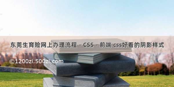 东莞生育险网上办理流程 – CSS – 前端 css好看的阴影样式