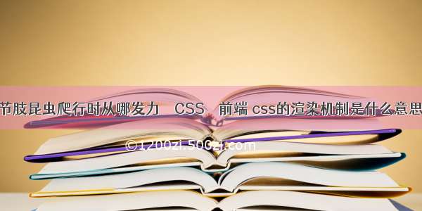 节肢昆虫爬行时从哪发力 – CSS – 前端 css的渲染机制是什么意思