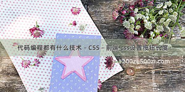 代码编程都有什么技术 – CSS – 前端 css设置按钮长度