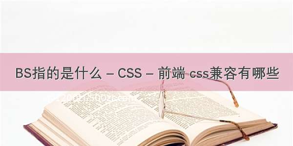 BS指的是什么 – CSS – 前端 css兼容有哪些