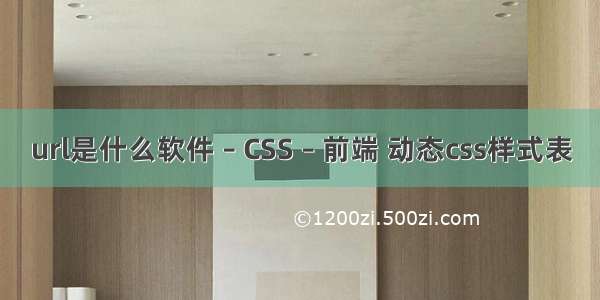 url是什么软件 – CSS – 前端 动态css样式表