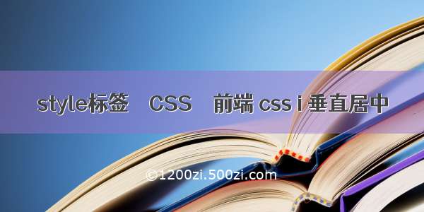 style标签 – CSS – 前端 css i 垂直居中