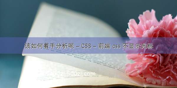 该如何着手分析呢 – CSS – 前端 css 不显示光标