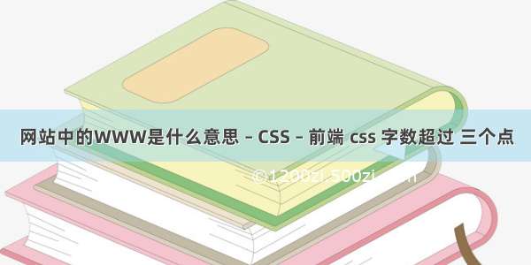 网站中的WWW是什么意思 – CSS – 前端 css 字数超过 三个点