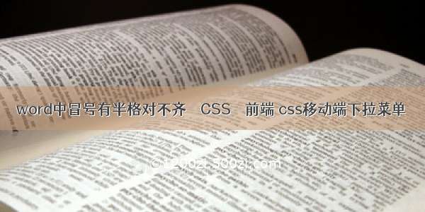 word中冒号有半格对不齐 – CSS – 前端 css移动端下拉菜单