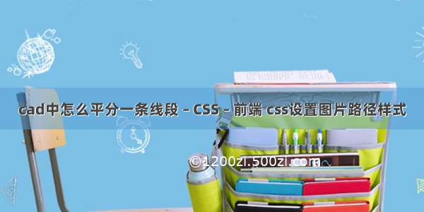 cad中怎么平分一条线段 – CSS – 前端 css设置图片路径样式