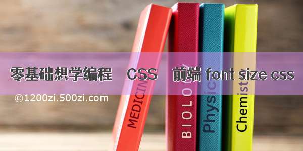 零基础想学编程 – CSS – 前端 font size css