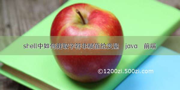 shell中如何截取字符串赋值给变量 – java – 前端