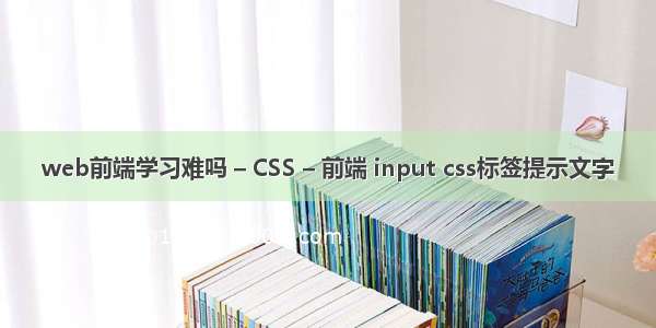 web前端学习难吗 – CSS – 前端 input css标签提示文字