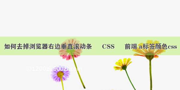 如何去掉浏览器右边垂直滚动条 – CSS – 前端 a标签颜色css