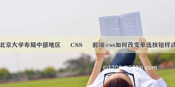 北京大学布局中部地区 – CSS – 前端 css如何改变单选按钮样式