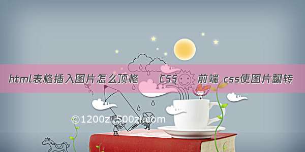 html表格插入图片怎么顶格 – CSS – 前端 css使图片翻转