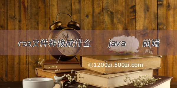 rsa文件转换成什么 – java – 前端