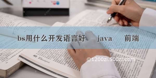 bs用什么开发语言好 – java – 前端