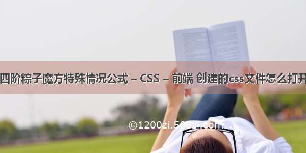 四阶粽子魔方特殊情况公式 – CSS – 前端 创建的css文件怎么打开