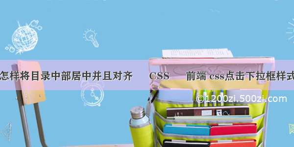 怎样将目录中部居中并且对齐 – CSS – 前端 css点击下拉框样式