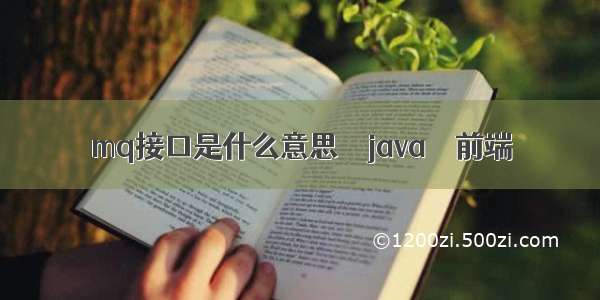 mq接口是什么意思 – java – 前端