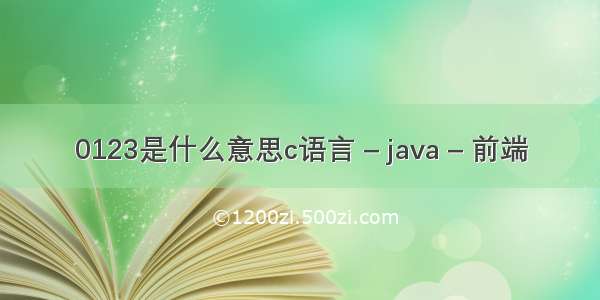 0123是什么意思c语言 – java – 前端