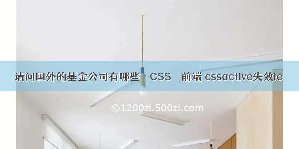 请问国外的基金公司有哪些 – CSS – 前端 cssactive失效ie