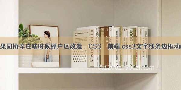 通州区果园协辛庄啥时候棚户区改造 – CSS – 前端 css3文字线条边框动画特效