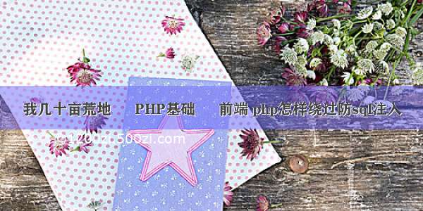 我几十亩荒地 – PHP基础 – 前端 php怎样绕过防sql注入