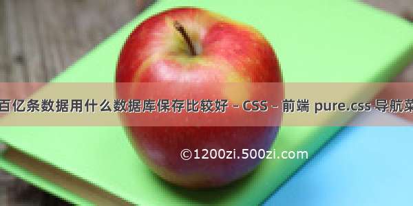 几百亿条数据用什么数据库保存比较好 – CSS – 前端 pure.css 导航菜单