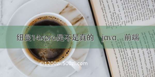 纽曼14xpro是不是真的 – java – 前端