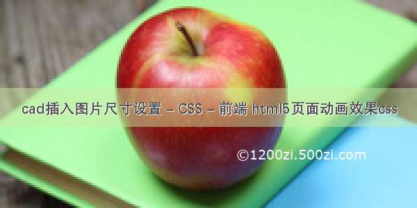 cad插入图片尺寸设置 – CSS – 前端 html5页面动画效果css