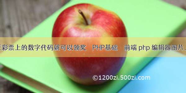 中奖后凭彩票上的数字代码就可以领奖 – PHP基础 – 前端 php 编辑器图片上传路径