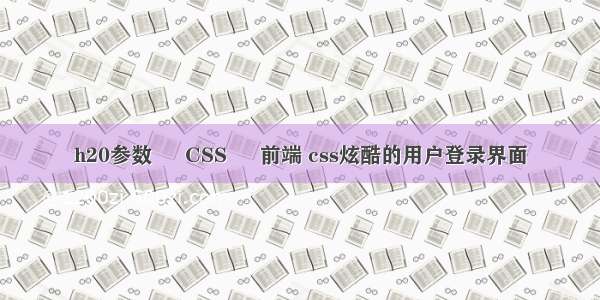 h20参数 – CSS – 前端 css炫酷的用户登录界面