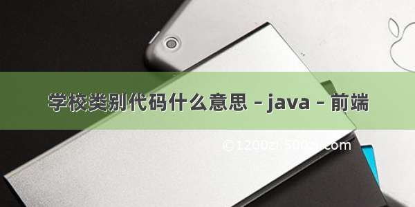 学校类别代码什么意思 – java – 前端