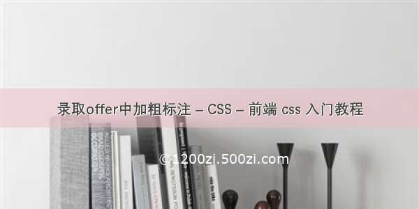 录取offer中加粗标注 – CSS – 前端 css 入门教程