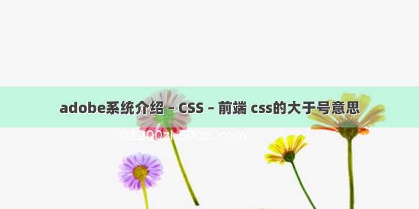 adobe系统介绍 – CSS – 前端 css的大于号意思