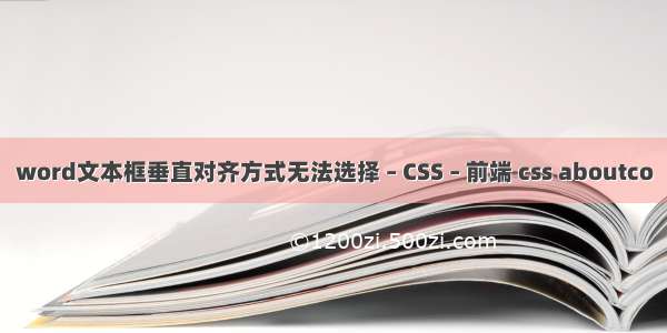 word文本框垂直对齐方式无法选择 – CSS – 前端 css aboutco