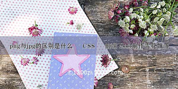 png与jpg的区别是什么 – CSS – 前端 css3制作雪花飘落